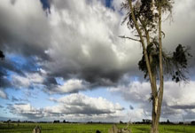 开云体育APP下载-英国网球惊险逆转美国热血抗争——阿尔卡拉斯精彩帽子戏法引爆赛场