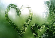 开云平台-阿尔艾因赛前战术培训，提升比赛执行力