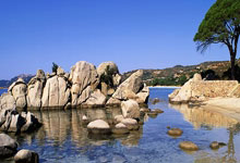 开云体育官网-火箭爆冷快船,欧文制霸全场