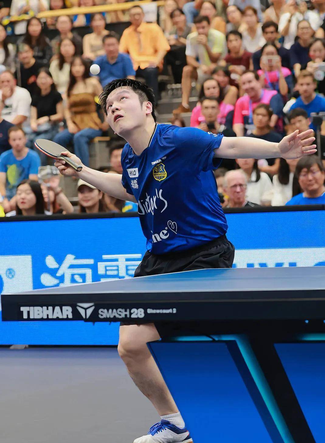 开云体育登录-英格兰队力克德国队，樊振东点燃赛场